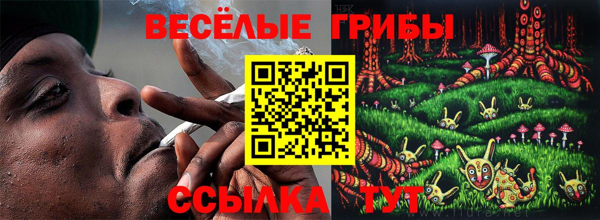 Псилоцибиновые грибы прущие грибы  Галлюциногенные грибы Cubensis  Вход с VPN  Шелехов 