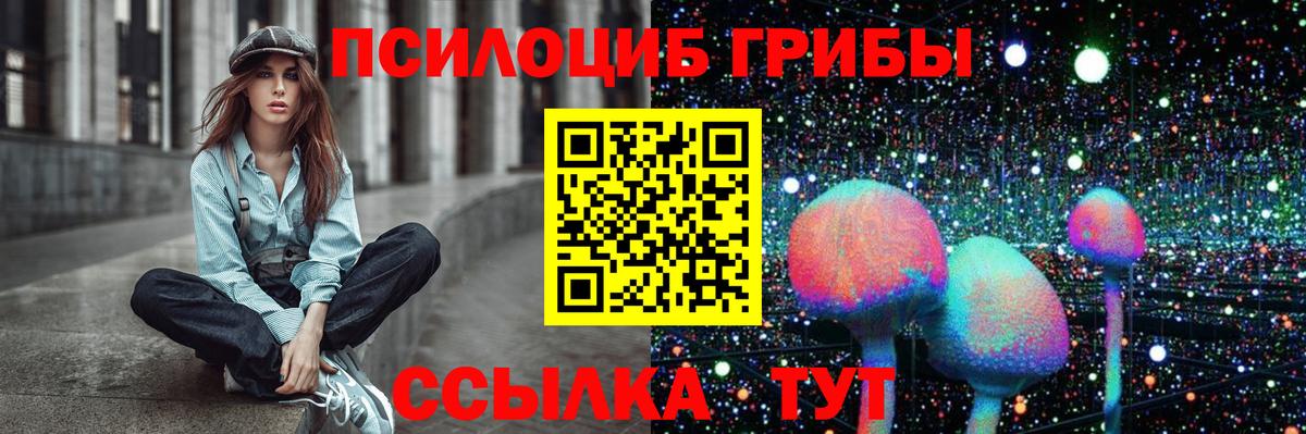 Галлюциногенные грибы Psilocybe Шелехов