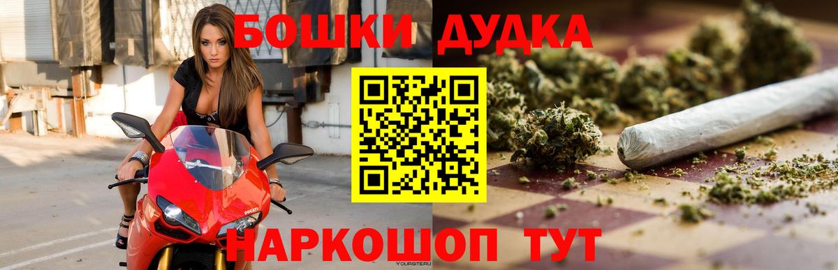 Канабис сатива Шелехов